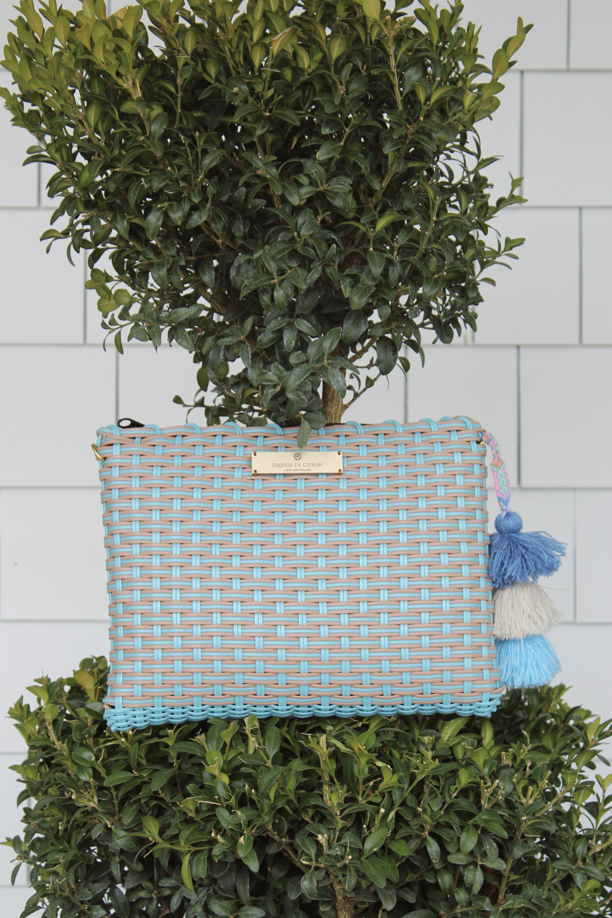 Blue Robin Nest Lemon Drop Citron