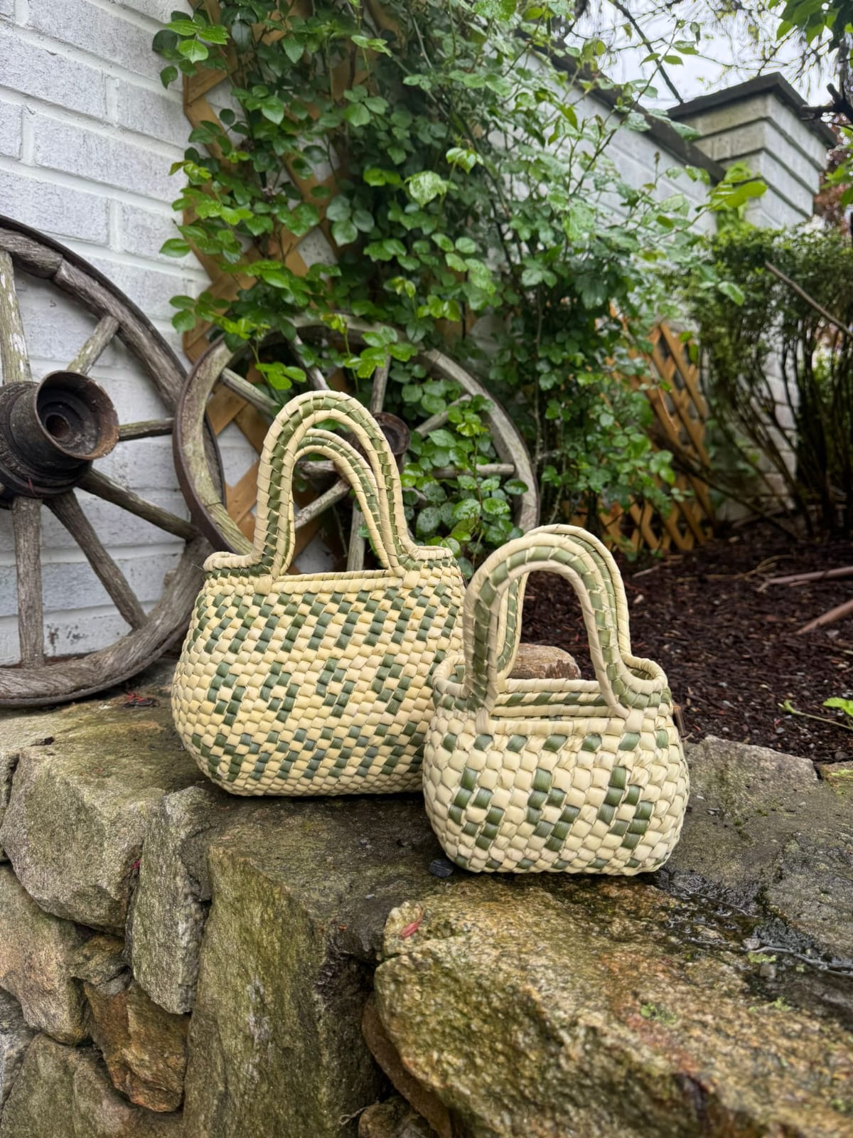 Palm Sage Cocol Citron