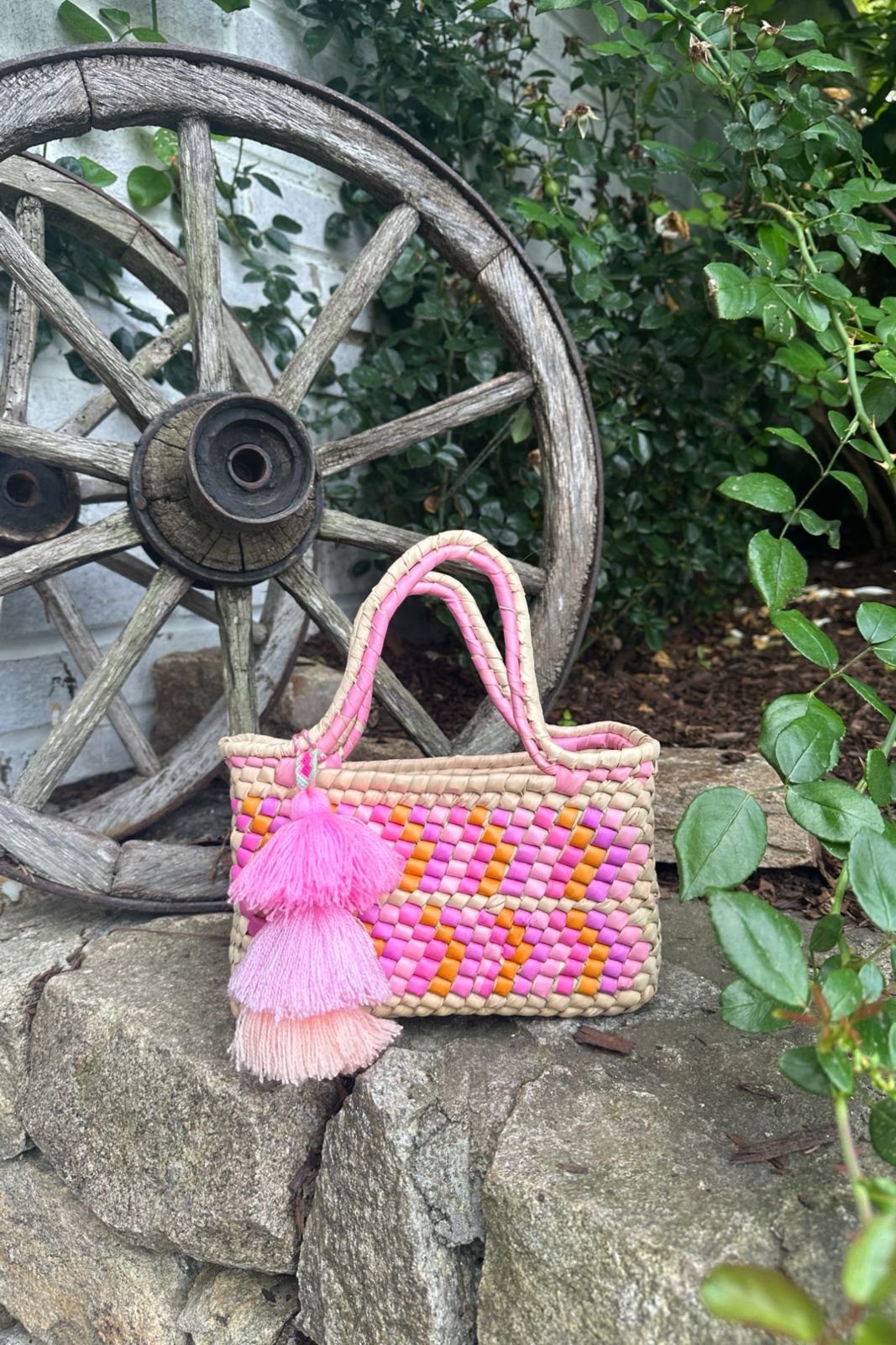 Palm Rose Mango Yatzil Citron