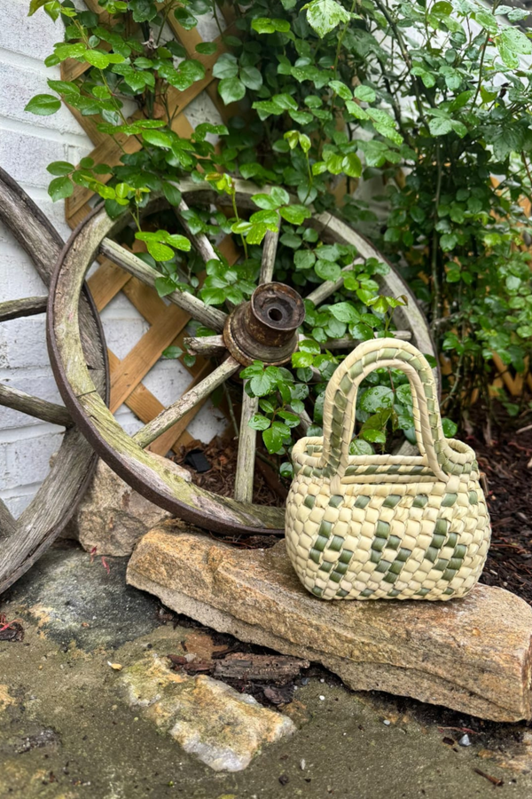 Palm Sage Cocol Citron – Mini